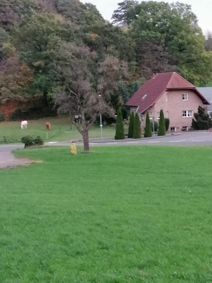 Ferienwohnung Eva Mechernich Buitenkant foto