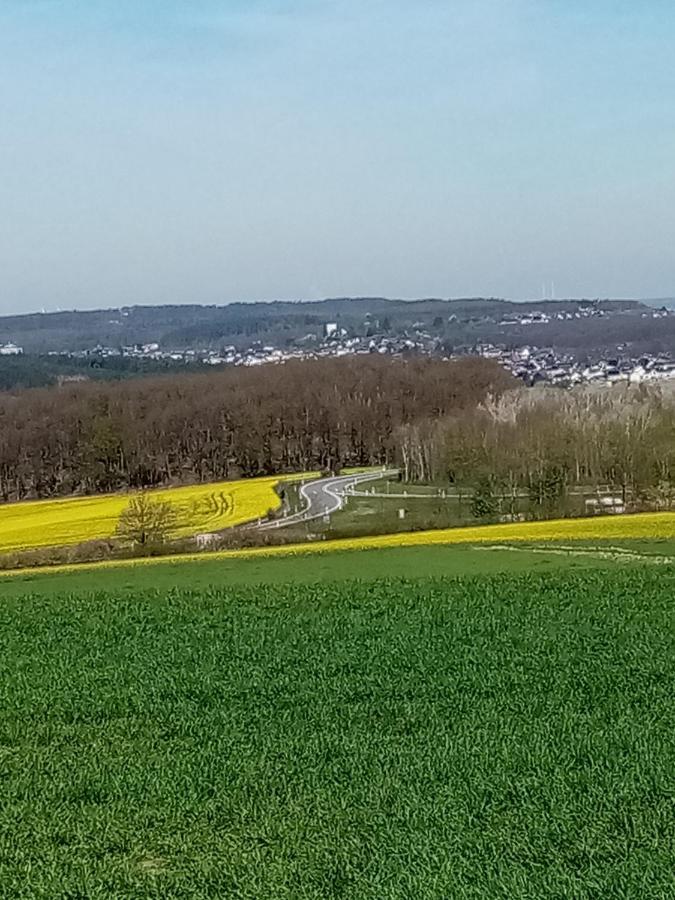 Ferienwohnung Eva Mechernich Buitenkant foto